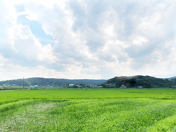 �c�����i