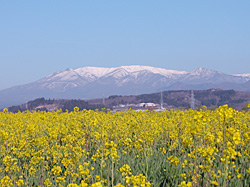 �����A��